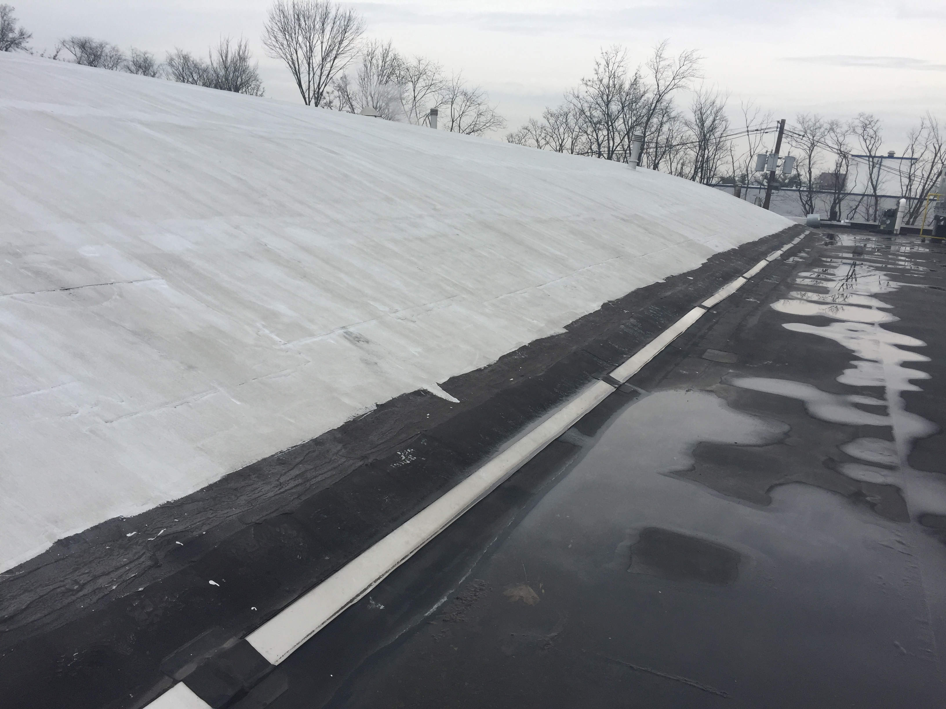 Black roof turning white